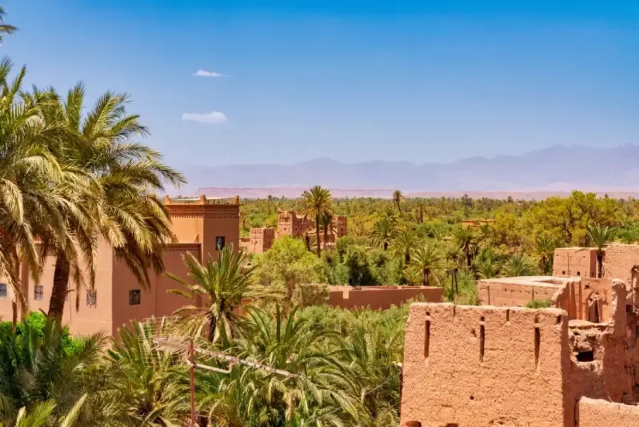 Discovering Skoura: A Local's Guide to Morocco's Palm Grove Haven